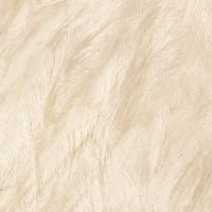 Gạch Trường Thịnh ANIMAL LAND FP8003